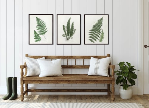 Botanical Print Set of 3, Fern Print Set, Set of Fern Prints | Prints by Capricorn Press