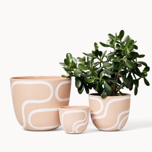 Blush Outline Planters | Vases & Vessels by Franca NYC