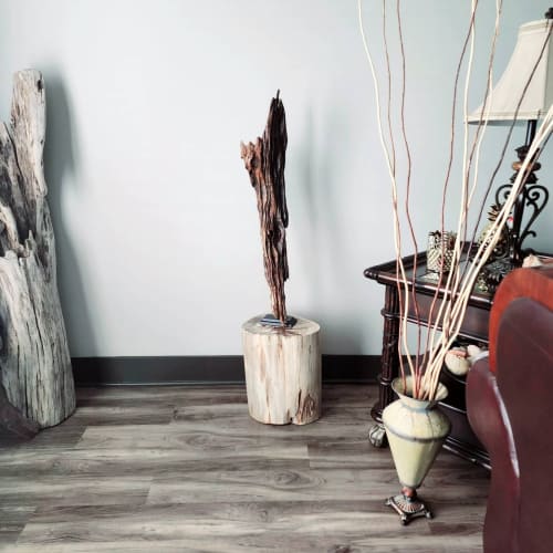 Driftwood Sculpture "Certainty" | Sculptures by Sculptured By Nature  By John Walker