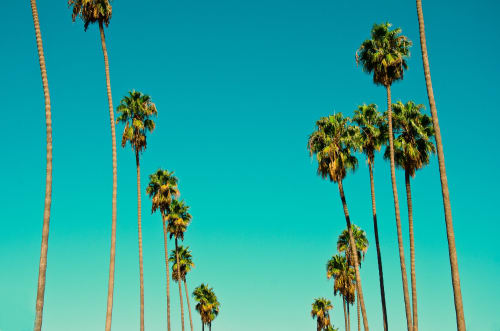 L.A.'s Finest | Photography by Korbin Bielski Fine Art Photography