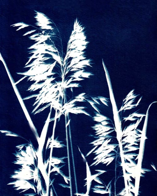 Ornamental Grass Six | Paintings by Kathy Ferguson Art