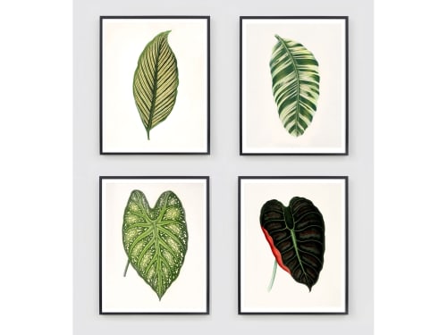 Botanical Print Set, Set of 4 botanical prints, Antique | Prints by Capricorn Press
