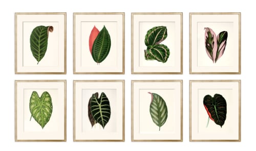 Antique Botanical Print Set of 8 leaf prints on fine art | Prints by Capricorn Press