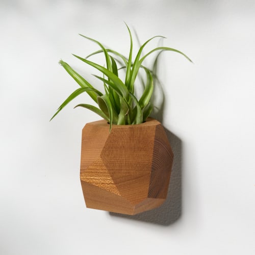 GEORGIA Elm Air Plant Holder | Planter in Vases & Vessels by Untitled_Co