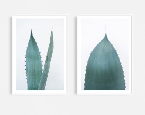 Set of two minimalist succulent prints, "Agave Study Pair I" | Photography by PappasBland