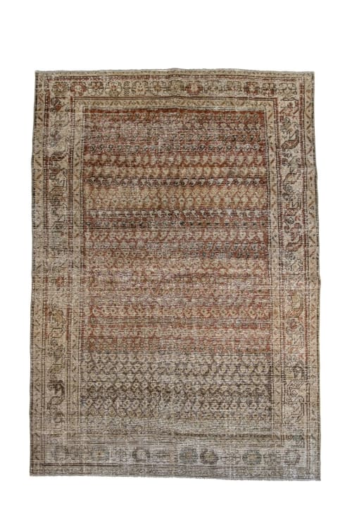 Baraz | 4'2 x 5'10 | Area Rug in Rugs by Minimal Chaos Vintage Rugs