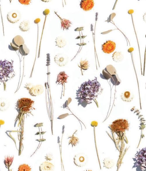 Dried Flora Removable Fabric Wallpaper - Peel and Stick! | Wallpaper by Samantha Santana Wallpaper & Home