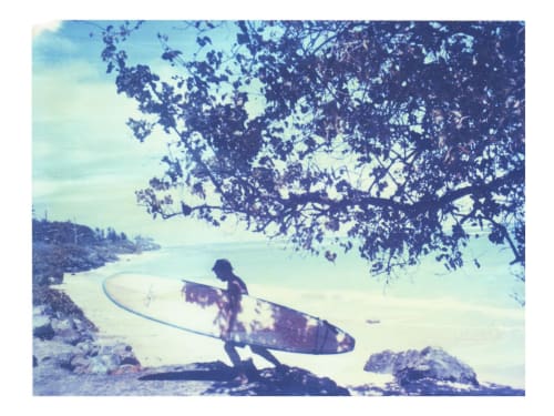 The Temporary Shadow Of Leaves (Hawaii) | Photography by She Hit Pause