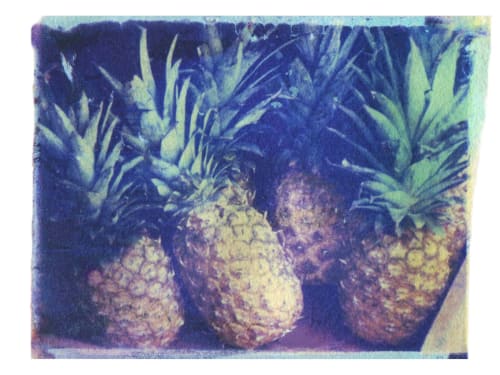 Pineapples | Paintings by She Hit Pause