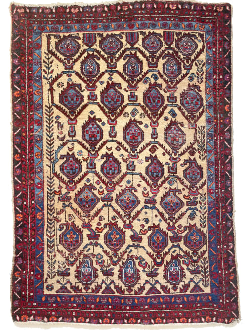 BEAUTIFUL Field of Seeds & Hanging Pomegranates | Area Rug in Rugs by The Loom House