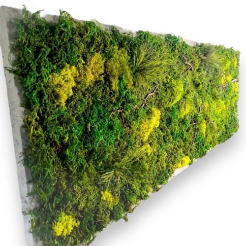 Living Moss Wall Art Dimensional Painting, Moss and Fern | Plants & Landscape by Sarah Montgomery