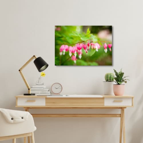 Photograph • Bleeding Hearts, Flowers, Nature, Floral | Photography by Honeycomb