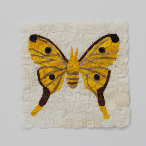 Mini Moth - Argema mittrei | Mixed Media by Tanana Madagascar