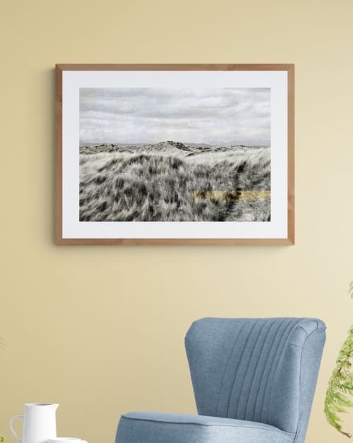 Beach grass | Photography by Louise O'Gorman