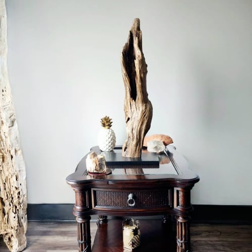 Driftwood Art Sculpture "Posing Porpoise" | Sculptures by Sculptured By Nature  By John Walker