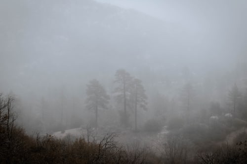 Hazy Shade of Winter | Photography by Korbin Bielski Fine Art Photography