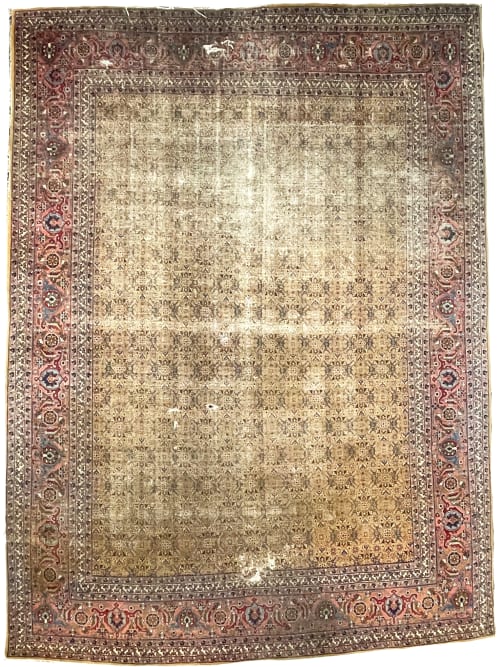 Coming Soon... MUSTARD SAFFRON & SALMON Designer Antique | Area Rug in Rugs by The Loom House