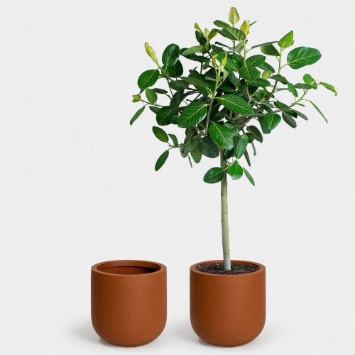 Wythe 40 Large Planter | Vases & Vessels by Greenery Unlimited