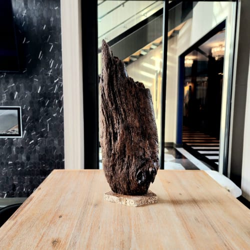 Driftwood Art Sculpture "Wing Dip" Mounted on a Marble Base | Sculptures by Sculptured By Nature  By John Walker