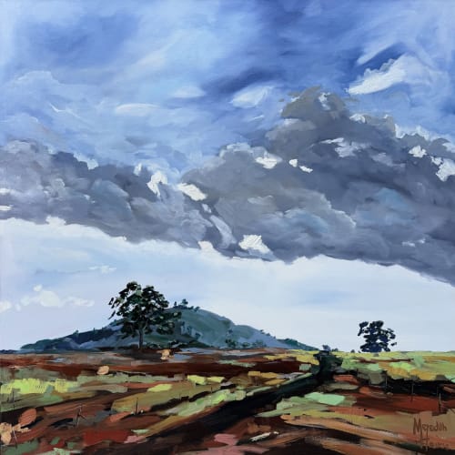 Cootamundra 2 | Oil And Acrylic Painting in Paintings by Meredith H