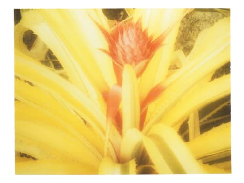 Spoonfuls of Yellow | Photography by She Hit Pause