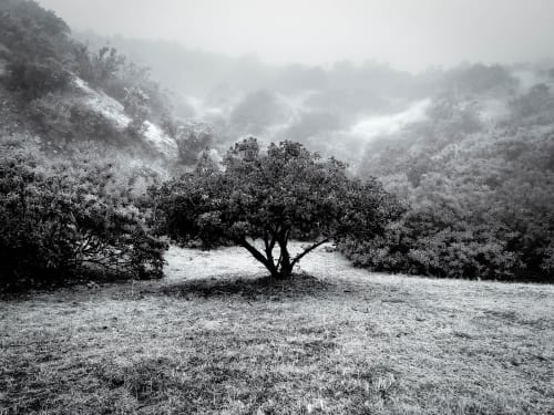 Morning Hike | Photography by Korbin Bielski Fine Art Photography
