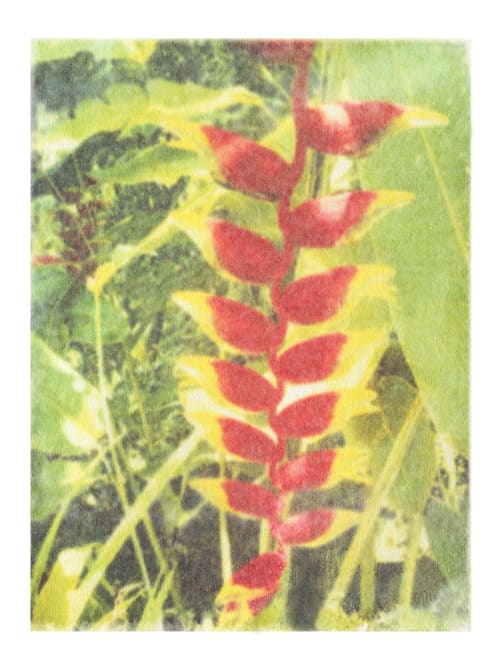 Sunrise, Sunset (Bright Eyes) | Photography by She Hit Pause