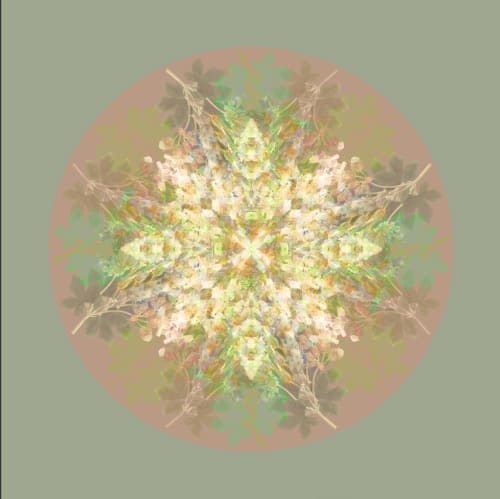 Botanical mandala #3 | Photography by Louise O'Gorman