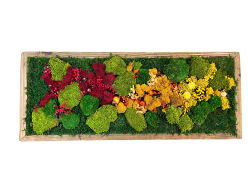 Rainbow Moss Wall Art Flower Preservation Salon Decor | Plants & Landscape by Sarah Montgomery