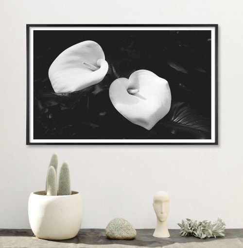 Large black and white wall art, black and white flower | Prints by Capricorn Press