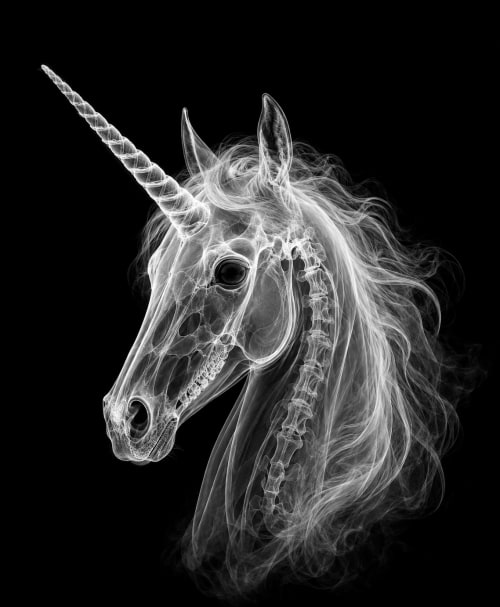 EXPOSED 001 — UNICORN | Decorative Objects by Exposedart