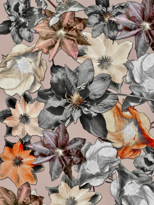 Clematis Photomontage- 5 Versions | Photography by Joanie Landau