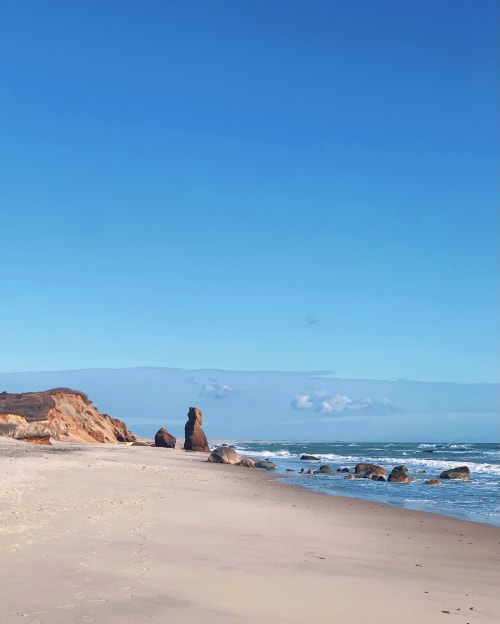 Lucy's Last Day | Photography by Neon Dunes by Lily Keller