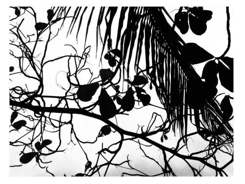 The earths, wild wooden shapes | Photography by She Hit Pause