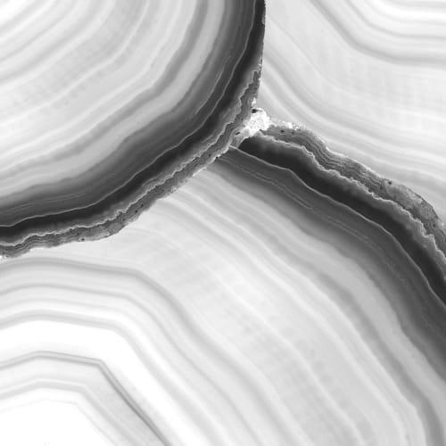 Agata - Black & White | Wallpaper in Wall Treatments by Wallcovetings by Brenda Houston