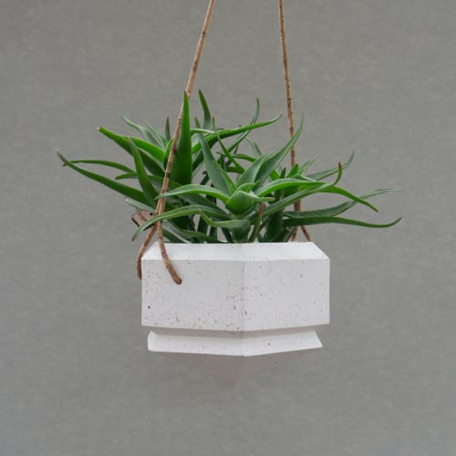Hanging Planter Large - Wood Dust Terrazzo | Vases & Vessels by Tropico Studio