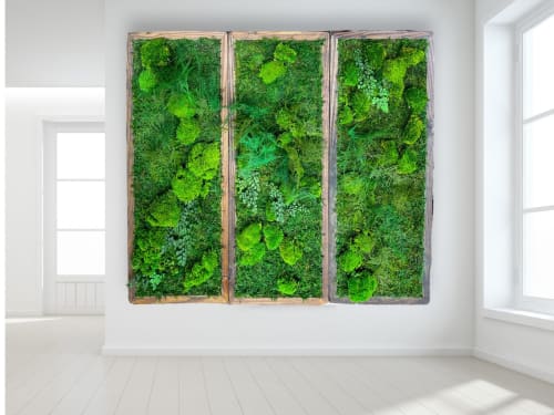 Living Wall Decor Plant Wall Art Moss and Fern Sculpture | Wall Hangings by Sarah Montgomery