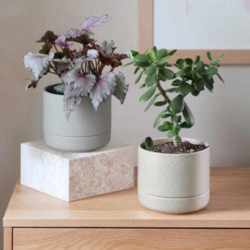 Franklin 17 Ceramic Self Watering Pot | Vases & Vessels by Greenery Unlimited