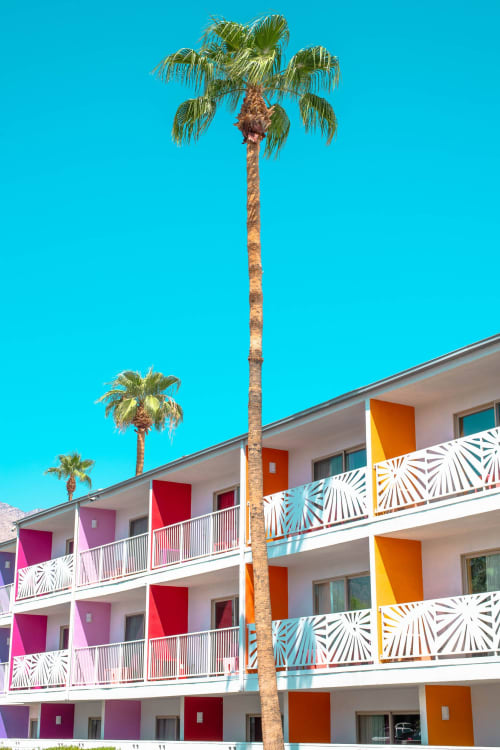 Palm Springs Color Blast | Photography by Korbin Bielski Fine Art Photography
