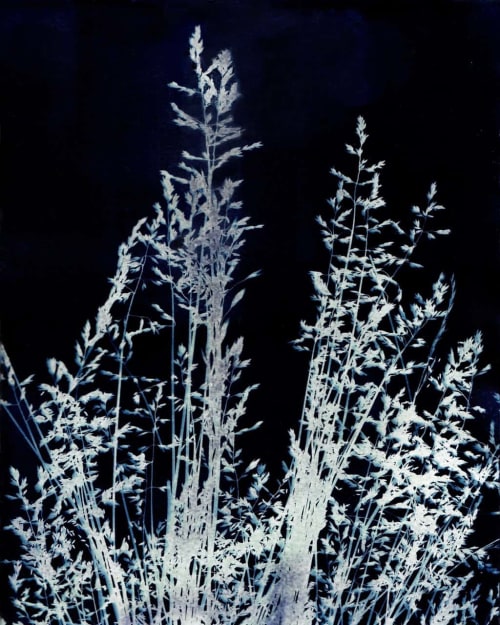 Ornamental Grass Eight | Paintings by Kathy Ferguson Art