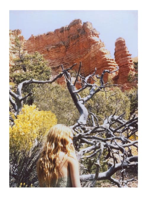 Wildflowers | Photography by She Hit Pause