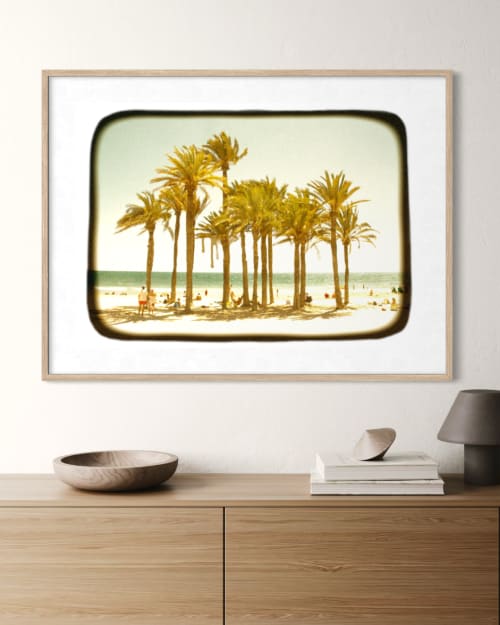 Palm Grove | Photography by Louise O'Gorman