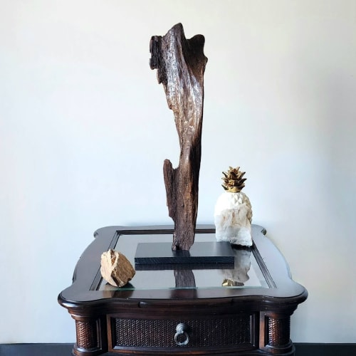 Driftwood Art Sculpture "Flapper" | Sculptures by Sculptured By Nature  By John Walker