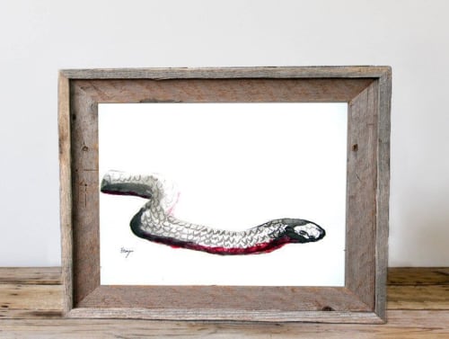Red Bellied Black Snake | Prints by Brazen Edwards Artist