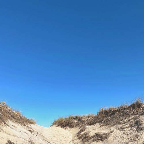 Winter Dunes | Photography by Neon Dunes by Lily Keller