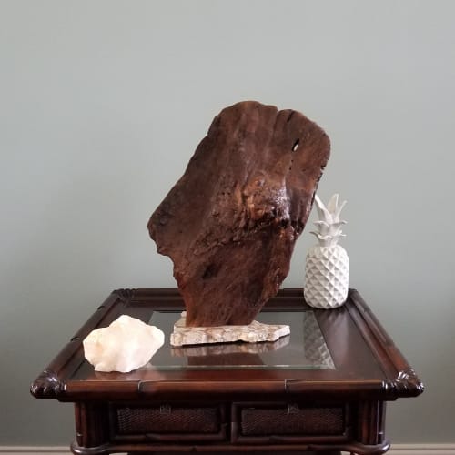 Driftwood Sculpture "Fin" with Marble Base | Sculptures by Sculptured By Nature  By John Walker