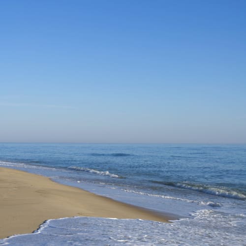 Awash | Photography by Neon Dunes by Lily Keller