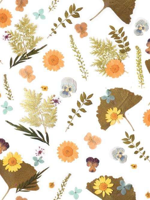 Pressed Flowers, Version 1 Removable Fabric Wallpaper - Peel | Wallpaper by Samantha Santana Wallpaper & Home