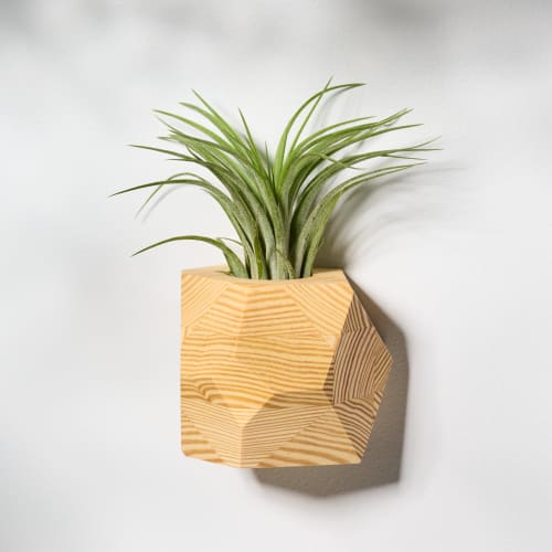 GEORGIA Pine Air Plant Holder | Planter in Vases & Vessels by Untitled_Co