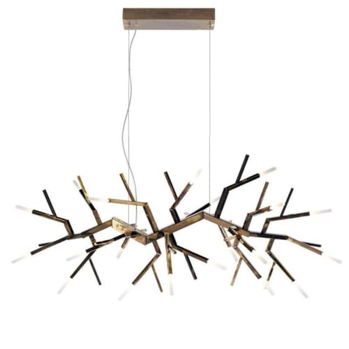 Alan Mizrahi WM2088 Acropora | Chandeliers by Alan Mizrahi Lighting Design